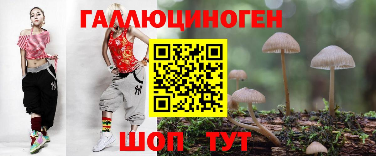 Галлюциногенные грибы Psilocybine cubensis Нальчик